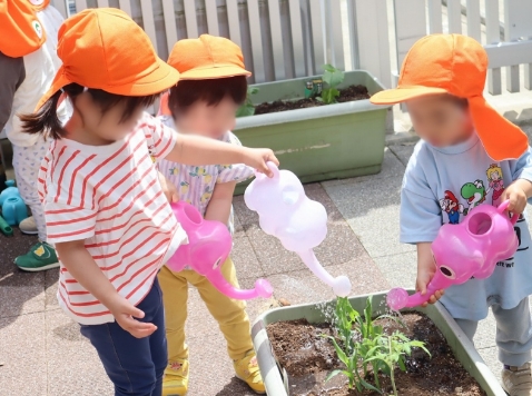 夏野菜の苗植え02