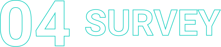 04 SURVEY