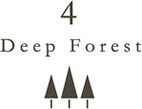 4 Deep Forest