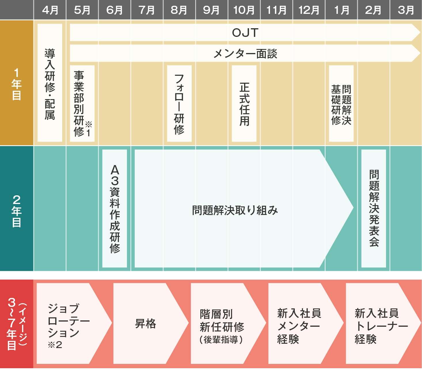入社後のキャリア