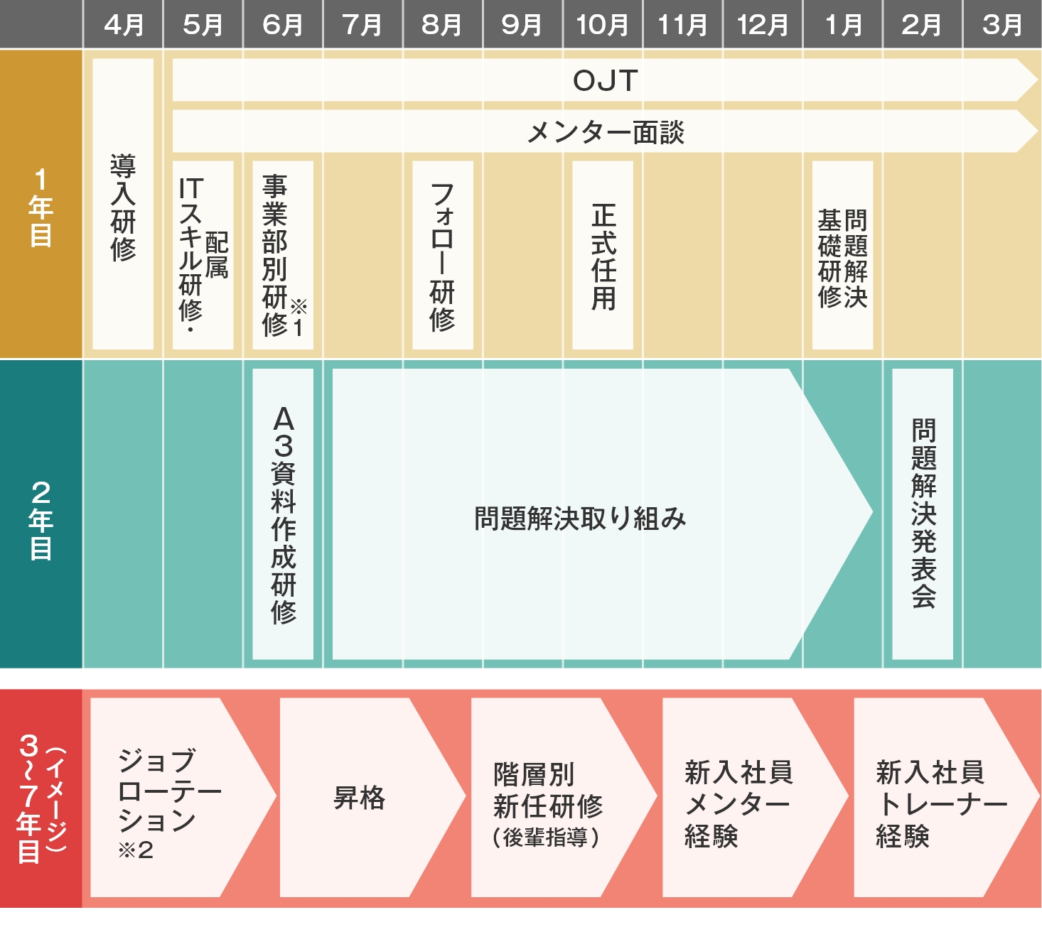 入社後のキャリア