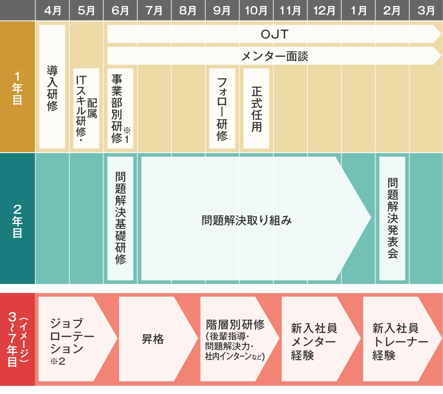 入社後のキャリア